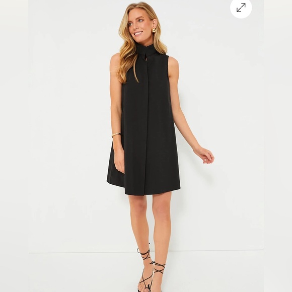 Tuckernuck | NEW Black Sleeveless Charlie Shirt Preppy Mini Dress Size M - Picture 1 of 3